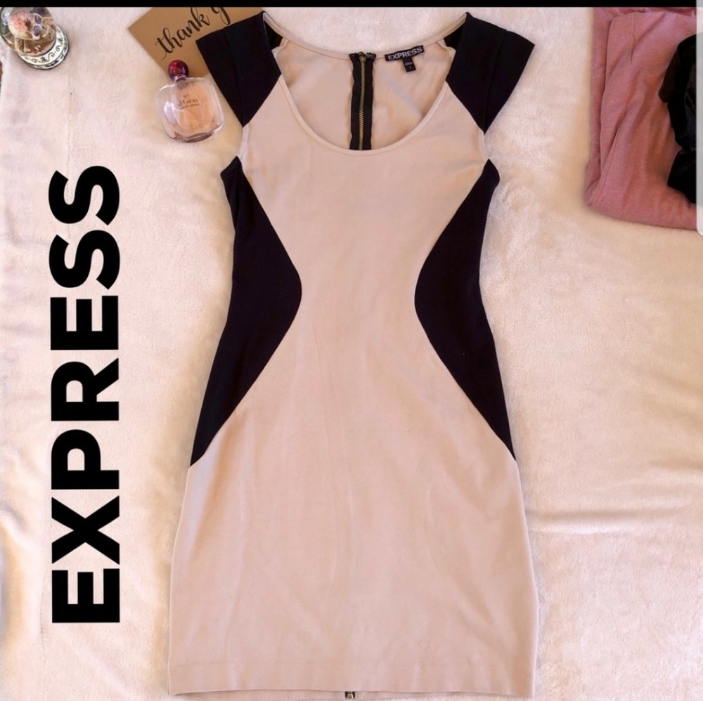 Express bodycon dress